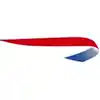 Airline Logo