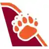 Airline Logo