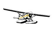 Airline Logo