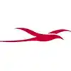 Airline Logo