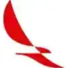 Airline Logo