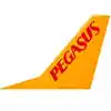 Airline Logo