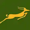 Airline Logo