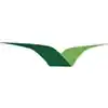 Airline Logo