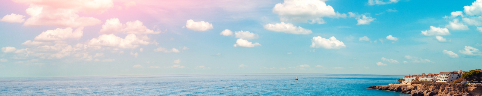 main banner