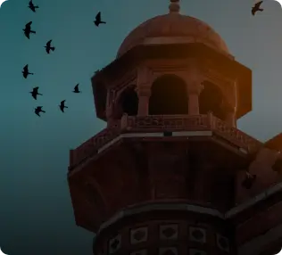 delhi Img